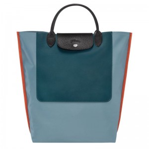 Bolsa de Mano long champ Cabas M Tote Canvas Mujer Azules | COEB7226