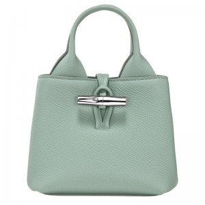 Bolsa de Mano long champ Le Roseau XS Leather Mujer Celadon | COZU7300