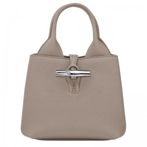 Bolsa de Mano long champ Le Roseau XS Leather Mujer Clay | COXY7301