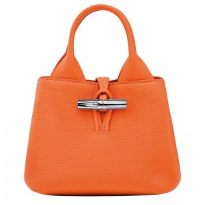 Bolsa de Mano long champ Le Roseau XS Leather Mujer Naranjas | COCT7302