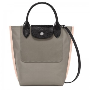 Bolsas Mini long champ Cabas XS Tote Canvas Mujer Turtledove | COYX7026