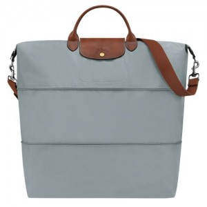 Bolsas de Viaje long champ Le Pliage Original expandable Recycled canvas Hombre Steel | COWN9203