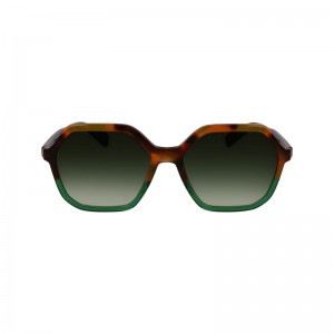 Lentes de Sol long champ Acetate Mujer Doradas Verde Oliva | COGS8462