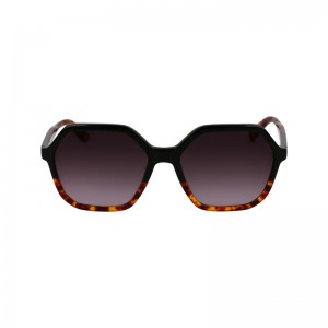 Lentes de Sol long champ Acetate Mujer Negras | COOK8485