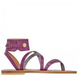 Sandalias long champ Leather Mujer Violet | CORV8740