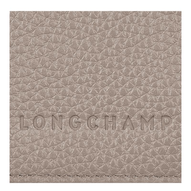 Accesorios long champ Le FoulonnÉ Passport cover Leather Hombre Turtledove | COBE9280