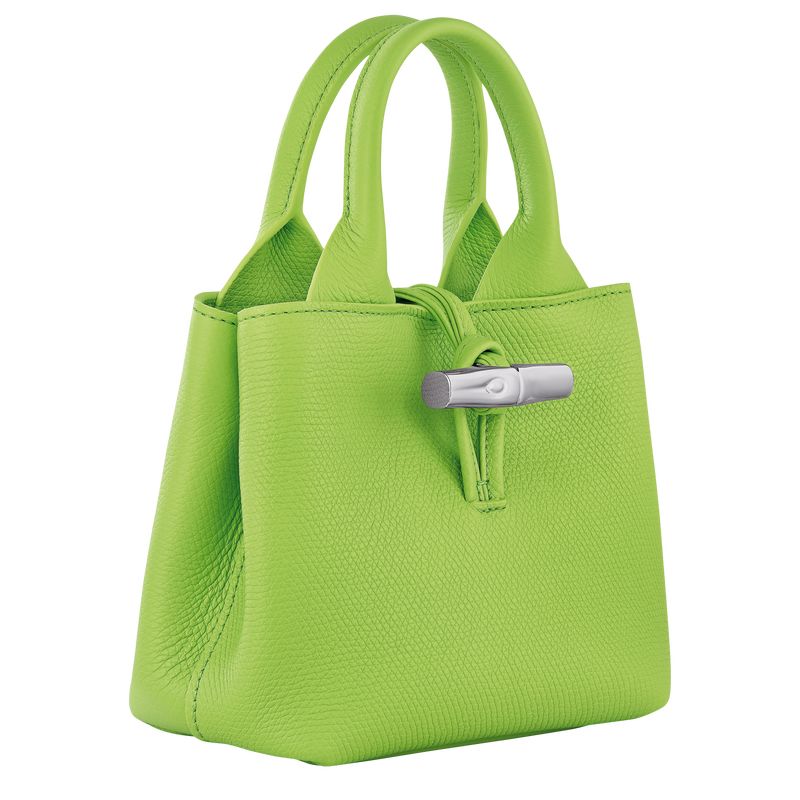 Bolsas Mini long champ Le Roseau XS Handbag Leather Mujer Verde Verde Menta | COYX7078