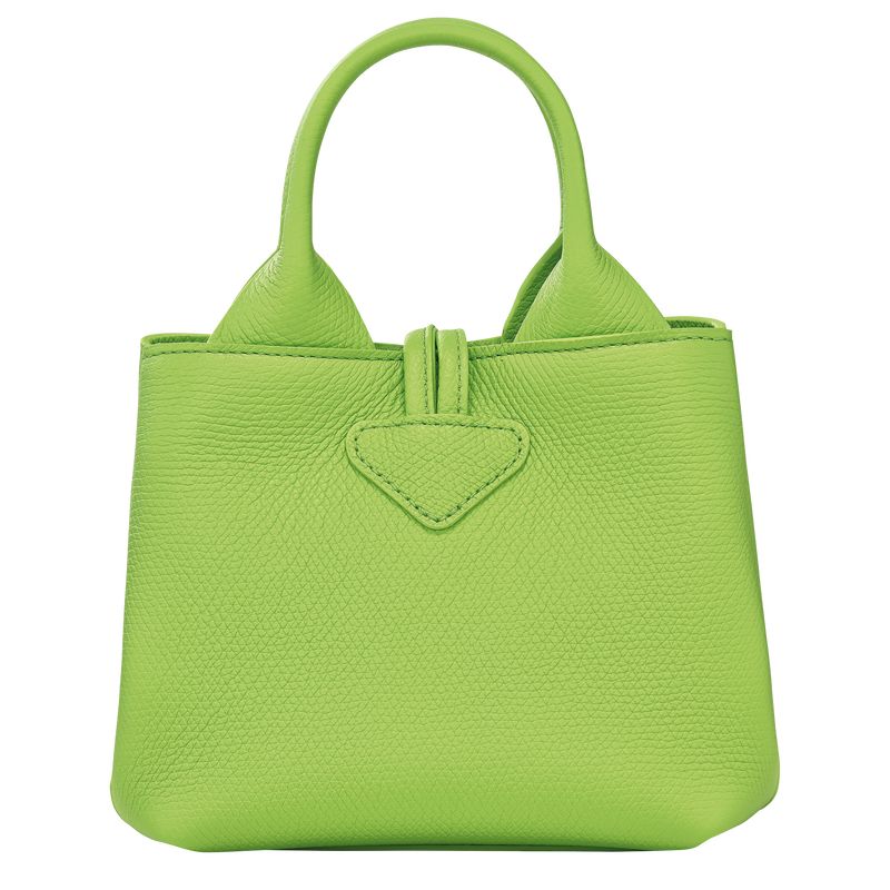 Bolsas Mini long champ Le Roseau XS Handbag Leather Mujer Verde Verde Menta | COYX7078