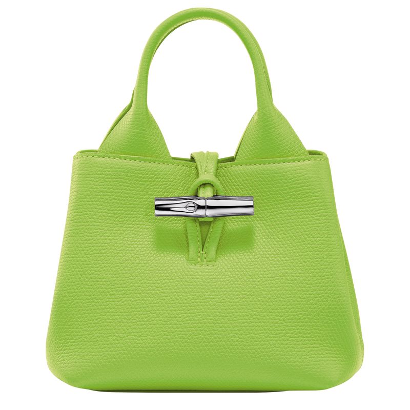 Bolsas Mini long champ Le Roseau XS Handbag Leather Mujer Verde Verde Menta | COYX7078