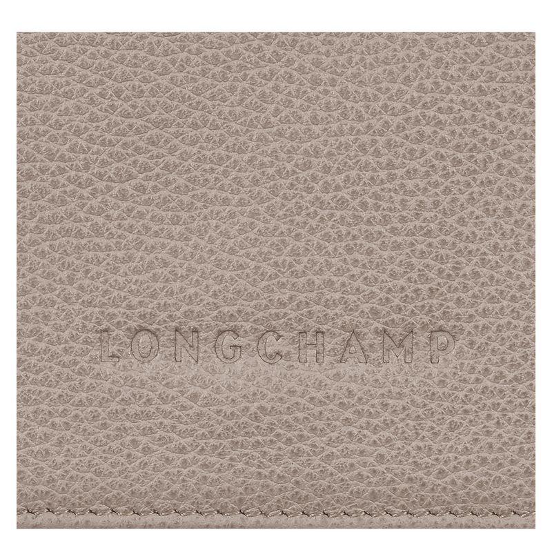 Carteras long champ Le FoulonnÉ Leather Mujer Turtledove | COVR7830