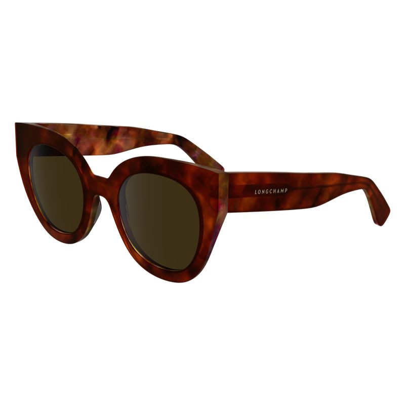 Lentes de Sol long champ Acetate Mujer Marrones | COFD8463