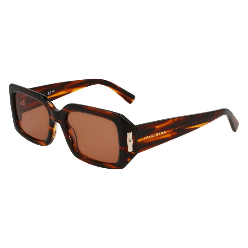 Lentes de Sol long champ Acetate Mujer Marrones | COTC8481