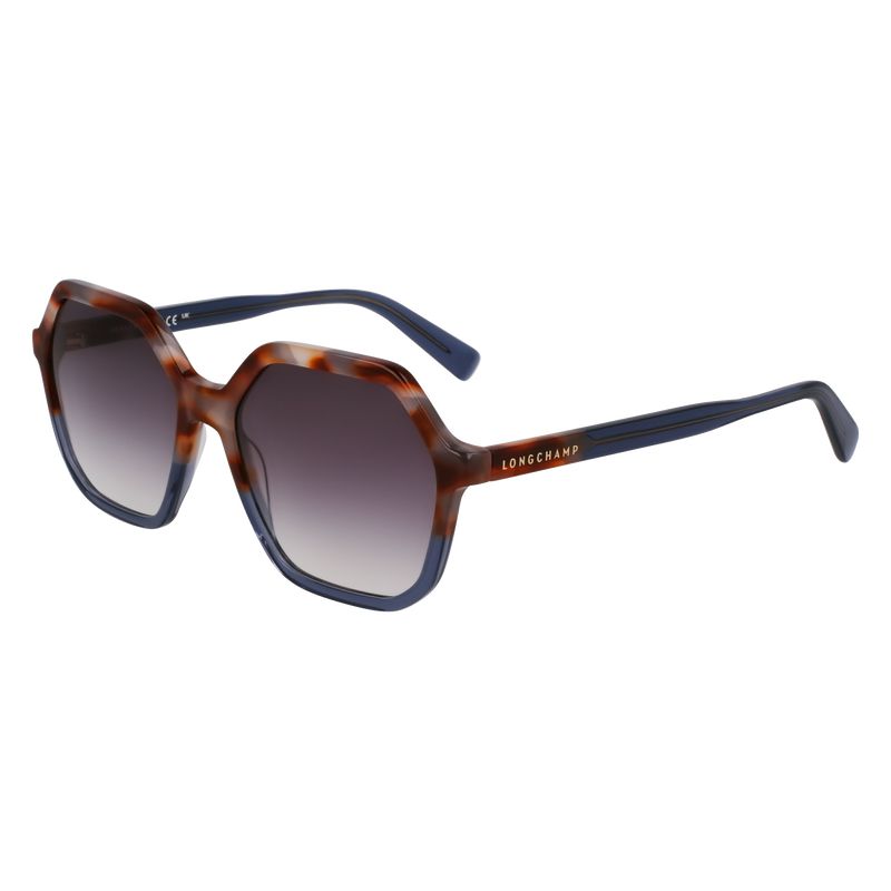 Lentes de Sol long champ Acetate Mujer Marrones Gris Azur | COXY8508