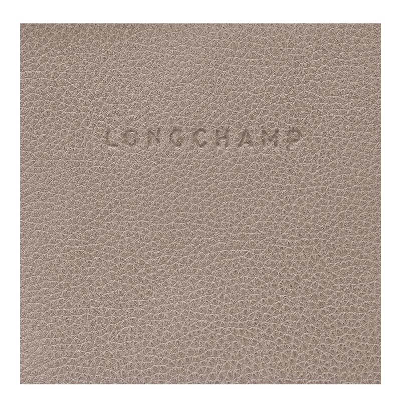 Mochilas long champ Le FoulonnÉ Leather Mujer Turtledove | CORV7648