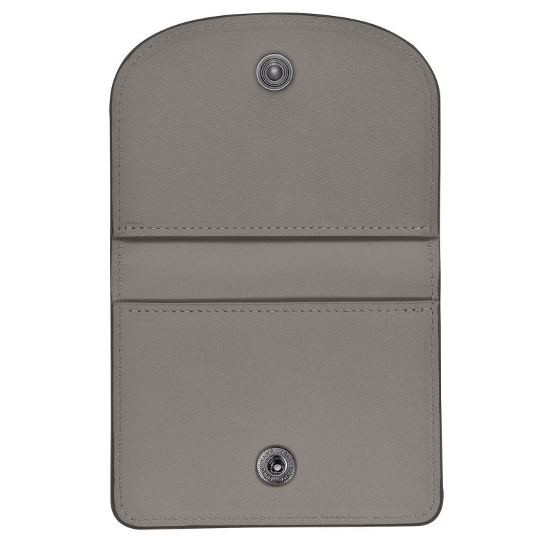 Porta Tarjeta long champ Le Pliage Xtra Leather Hombre Turtledove | COKO9031